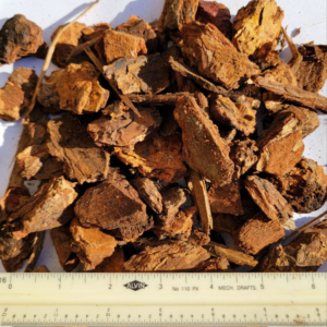 Close-up image of medium decorative bark pieces with a ruler for scale, showcasing their rough texture, rich brown hues, and irregular shapes.