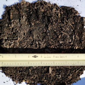 Dark Brown Humus with fine, nutrient-rich organic matter, shown with a ruler for scale.