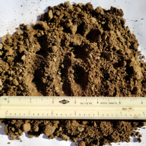 Topsoil with fine and coarse soil particles, shown with a ruler for scale.