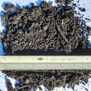 Dark, nutrient-rich compost displayed with a ruler for size reference.