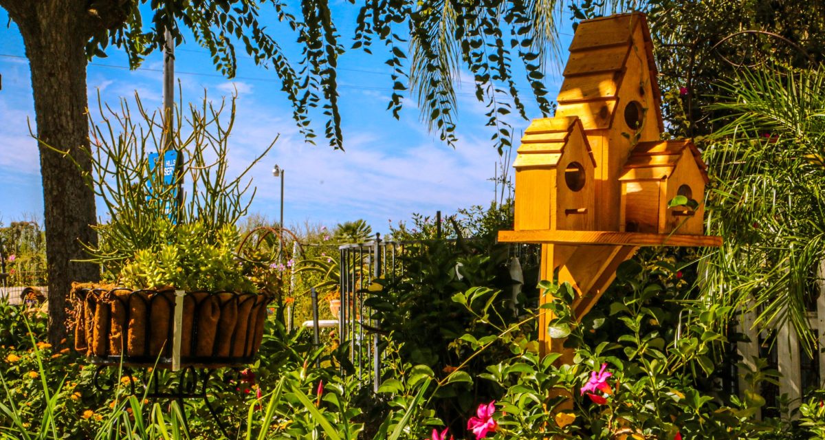 Beautiful garden setting at Green Hills Nursery with vibrant plants, a basket of succulents, and a wooden birdhouse under a tree.